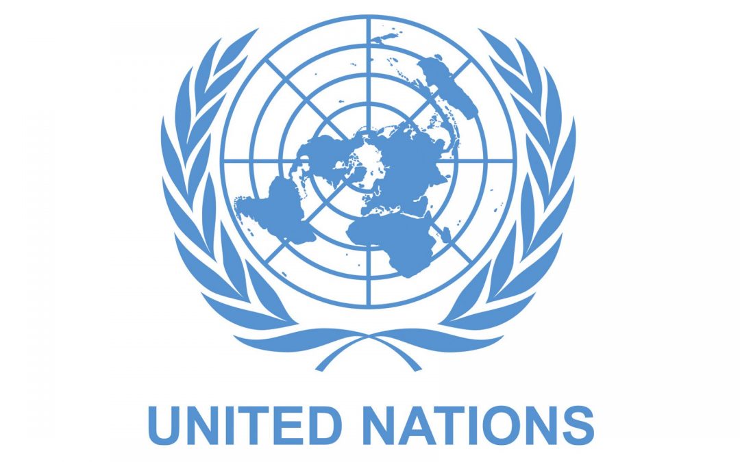 UN Lauds Nigeria’s Leading Role in Securing Gulf of Guinea