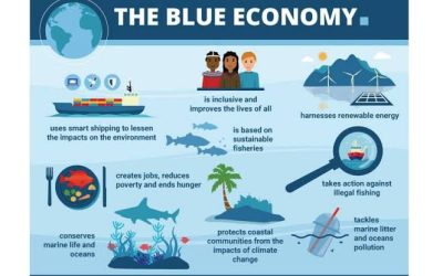 NIMASA OPENS BLUE ECONOMY ACCELERATOR PROGRAMME PORTAL OCTOBER 5